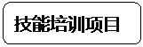 圆角矩形: 技能培训项目